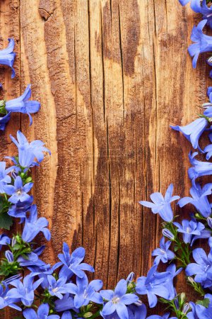 Foto de Fondo de naturaleza muerta rural vintage con flores de jardín azul sobre una superficie de madera - Imagen libre de derechos