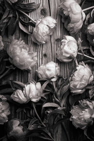 Téléchargez les photos : Fond vintage avec des fleurs de pivoine sur une surface en bois vieilli - en image libre de droit