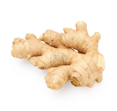 Téléchargez les photos : Ginger root isolated on white background. Food spicy ingredient - en image libre de droit