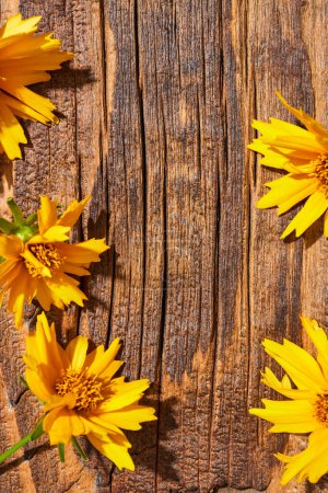 Foto de Vintage rural still life background with spring yellow meadow flowers on a wooden surface - Imagen libre de derechos