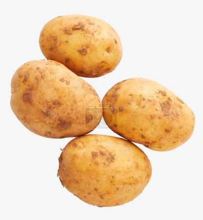 Photo for Potato isolated on white background - Royalty Free Image