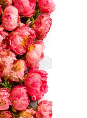 Photo for Peony flowers bouquet isolated on white background - Royalty Free Image