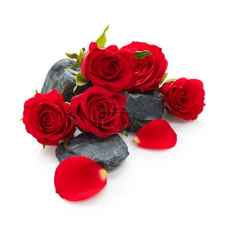 Téléchargez les photos : Roses rouges fleurs avec pierres noires isolées sur fond blanc - en image libre de droit