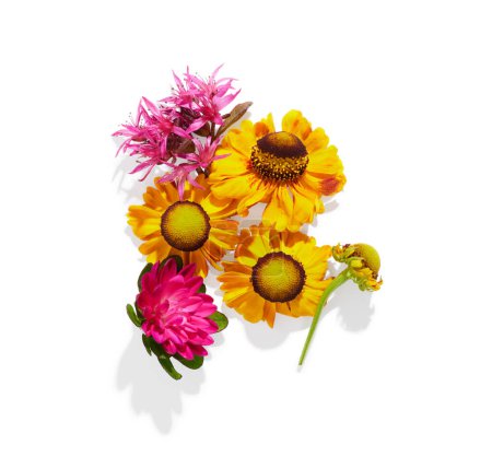 Téléchargez les photos : Petites fleurs d'été isolées sur fond blanc - en image libre de droit