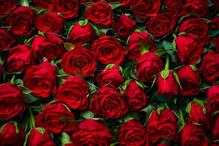tło kwiatów czerwonych róż