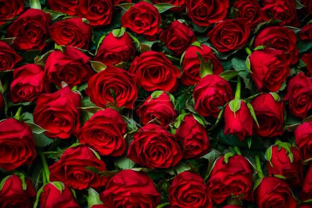 Foto de Fondo de rosas rojas flores - Imagen libre de derechos
