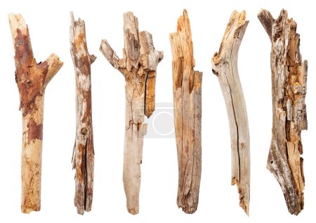 Photo for Broken wooden sticks isolated on white background - Royalty Free Image