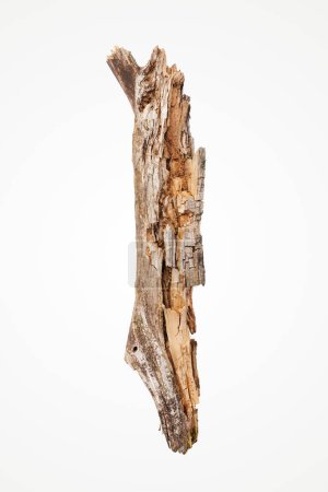 Foto de Broken wooden stick isolated on white background - Imagen libre de derechos
