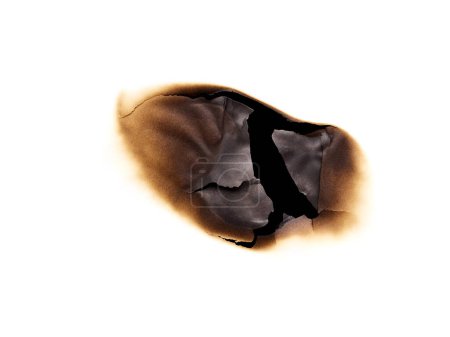 Foto de Elemento de diseño de papel quemado aislado sobre fondo blanco - Imagen libre de derechos