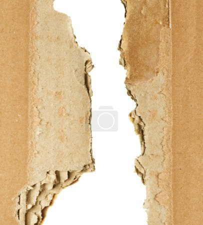 Foto de Paquete arrugado de cartón desgarrado aislado sobre fondo blanco - Imagen libre de derechos