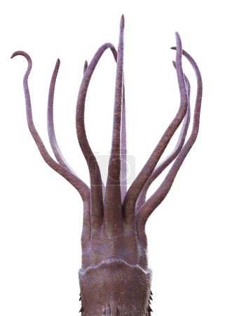 Photo for Tentacle Arms of giant squid illustration - Royalty Free Image