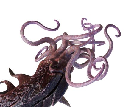 Photo for Arms and head of purple kraken with tentacles illustration - Royalty Free Image