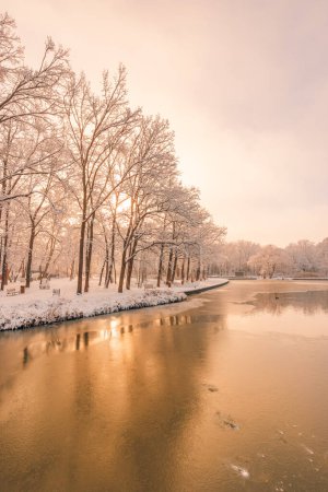 Téléchargez les photos : Parc d'hiver avec rivière en journée froide - en image libre de droit