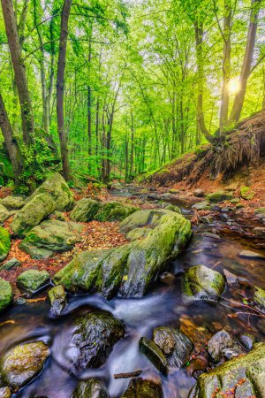 Téléchargez les photos : Forêt printanière lumineuse avec ruisseau coulant parmi les rochers - en image libre de droit