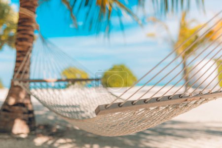 Photo for Closeup view of cozy hammock at the seaside - Royalty Free Image