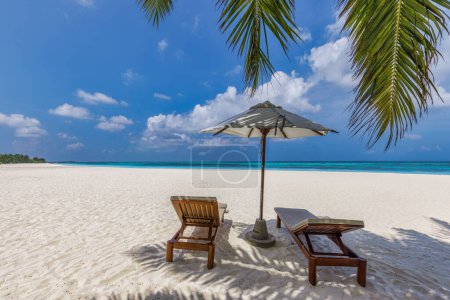 Téléchargez les photos : Chaises longues confortables avec parasol sur la rive tropicale - en image libre de droit