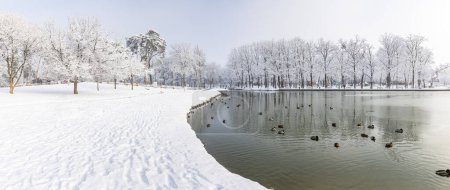 Téléchargez les photos : Parc d'hiver avec rivière en journée froide - en image libre de droit