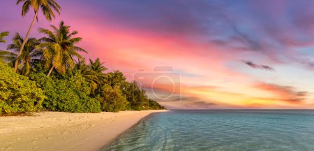 Photo for Beautiful panoramic sunset tropical paradise beach. Tranquil summer vacation or holiday landscape. Tropical sunset beach seaside palm calm sea panorama exotic nature view inspirational seascape scenic - Royalty Free Image