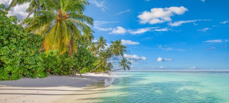 Voyage d'été fond. Exotique plage tropicale île, côte paradisiaque. Palmiers sable blanc, ciel étonnant lagune de l'océan. Fantastique magnifique panorama de la nature, journée ensoleillée vacances idylliques inspirantes