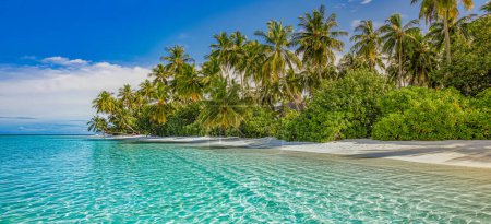 Photo for Beach landscape in beautiful sunlight. Exotic nature as tropical scenery with palms and peaceful blue sea. Natural colors and light, summer nature background concept, inspirational and motivational - Royalty Free Image
