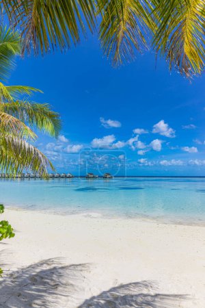 Photo for Maldives island beach. Tropical landscape white sand with palm tree leaves. Luxury travel vacation destination. Exotic beach landscape. Amazing nature, relax, freedom, tranquil nature background - Royalty Free Image