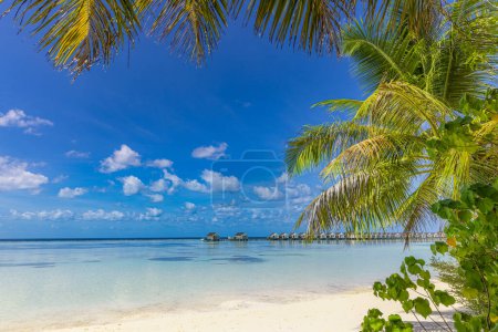 Foto de Maldivas playa isla. Paisaje tropical de arena blanca con hojas de palmera. Destino de vacaciones de lujo. Exótico paisaje de playa. Increíble naturaleza, relax, libertad, naturaleza tranquila fondo - Imagen libre de derechos