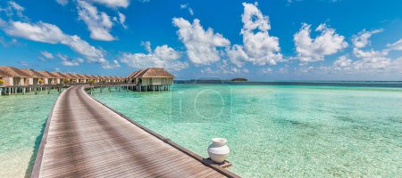 Téléchargez les photos : Belle plage tropicale avec palmiers et ciel bleu - en image libre de droit
