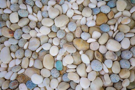 Photo for Background of sea pebbles. - Royalty Free Image