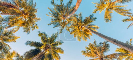 Foto de Hermosa playa tropical con palmeras - Imagen libre de derechos
