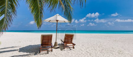 Foto de Vacías blancas sillas de playa y palmeras vacías - Imagen libre de derechos