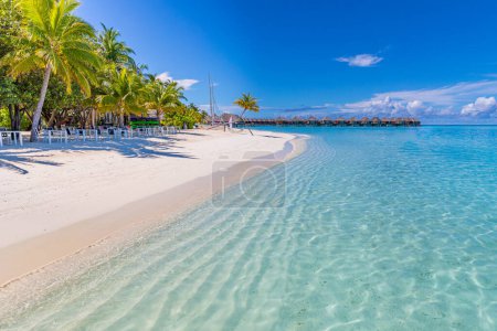 Téléchargez les photos : Belle plage tropicale avec mer et ciel bleu - en image libre de droit