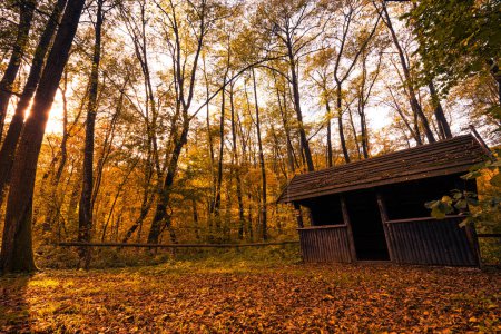 Photo for Old abandoned wooden hut  in the woods - Royalty Free Image