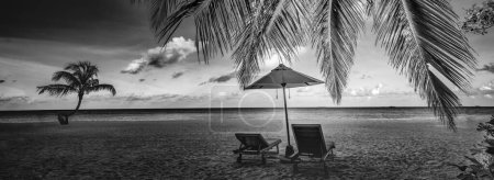 Photo for Tranquil black and white beach scene. Dramatic island shore landscape, dark sky white sand. Monochrome tropical coast, silhouette of palm trees. Abstract nature summer travel wallpaper - Royalty Free Image