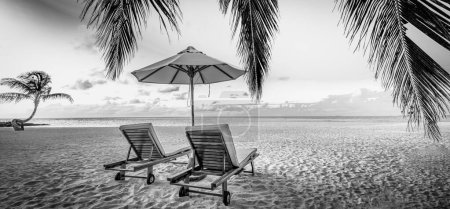 Photo for Tranquil black and white beach scene. Dramatic island shore landscape, dark sky white sand. Monochrome tropical coast, silhouette of palm trees. Abstract nature summer travel wallpaper - Royalty Free Image