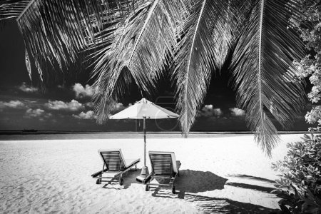 Téléchargez les photos : Tranquille scène de plage en noir et blanc. Paysage littoral spectaculaire de l'île, ciel sombre sable blanc. Côte tropicale monochrome, silhouette de palmiers. abstrait nature été voyage fond d'écran - en image libre de droit