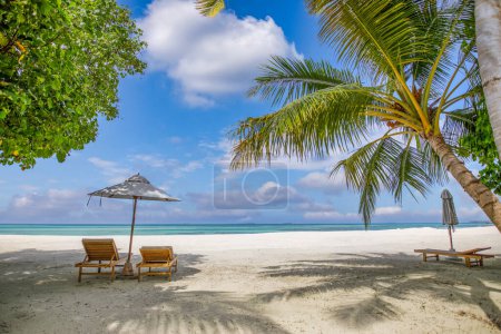 Photo for Tropical tourism beach. Summer nature landscape. Freedom romantic chairs palm trees calm sea - Royalty Free Image