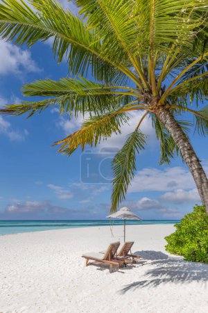 Photo for Tropical tourism beach. Summer nature landscape. Freedom romantic chairs palm trees calm sea - Royalty Free Image