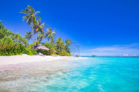 Foto de Playa de turismo tropical. Paisaje natural de verano. Libertad sillas románticas palmeras calma mar - Imagen libre de derechos