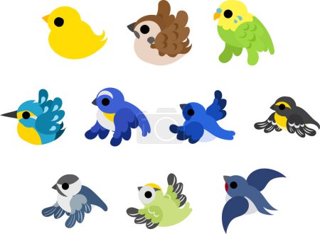 Die Sammlung von niedlichen und schönen bunten Vogelsymbolen.