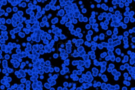 Foto de Cepa de bacterias Cocci. Puede utilizarse para ilustrar cualquier bacteria de la cocaína, por ejemplo estreptococos, estafilococos, neumococos, meningitis, sinusitis, faringitis, caries, impétigo, escarlatina. Ilustración 3D. - Imagen libre de derechos