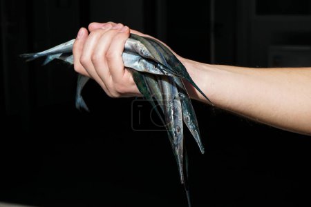 Foto de Mano del hombre mantenga pescado fresco sobre fondo oscuro - Imagen libre de derechos