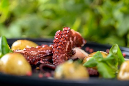Foto de Tentáculos de pulpo grandes en un plato con verduras y hierbas a la parrilla - Imagen libre de derechos