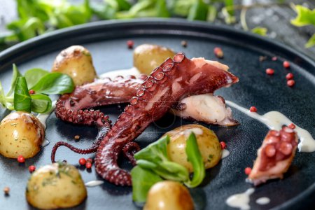 Téléchargez les photos : Grands tentacules de poulpe dans une assiette avec des légumes grillés et des herbes - en image libre de droit