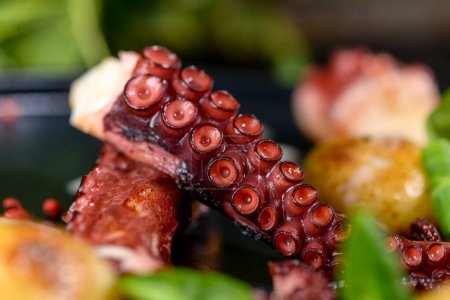 Téléchargez les photos : Grands tentacules de poulpe dans une assiette avec des légumes grillés et des herbes - en image libre de droit