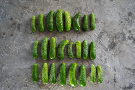 Photo for Green cucumbers  on a gray background - Royalty Free Image