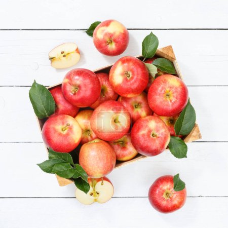 Foto de Apples apple fruits fruit from above square autumn fall box with leaves wooden board - Imagen libre de derechos