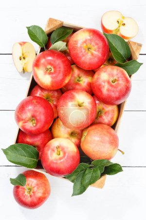 Foto de Apples apple fruits fruit from above portrait format autumn fall box with leaves wooden board - Imagen libre de derechos
