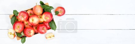 Photo for Apples apple fruits fruit from above autumn fall banner copyspace copy space box with leaves wooden board - Royalty Free Image