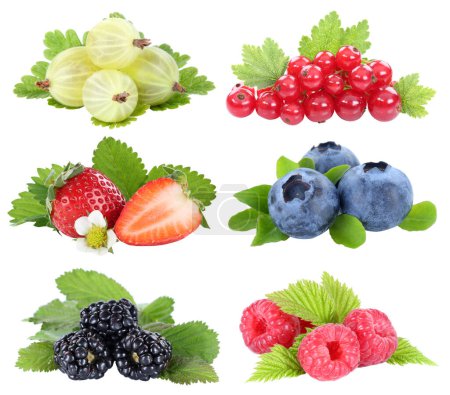 Téléchargez les photos : Berries collection strawberries blueberries red currants berry fruits fruit isolated on a white background - en image libre de droit