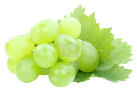 Photo for Grapes green fruits fruit leaf leaves isolated on a white background - Royalty Free Image